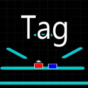 2 Player Tag