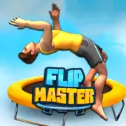 Flip Master